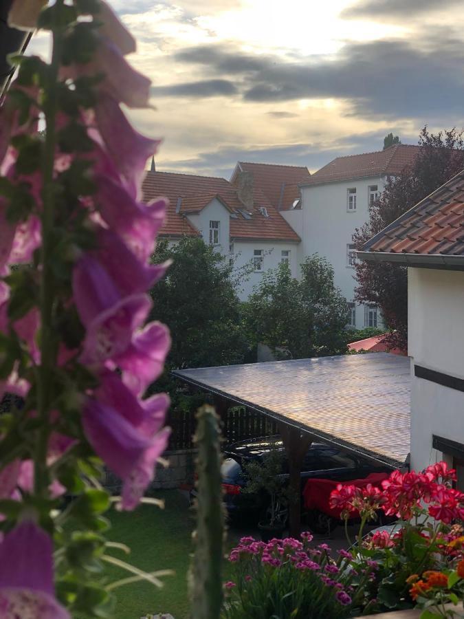 奎德林堡Am Mathildenbrunnen Klein公寓 外观 照片